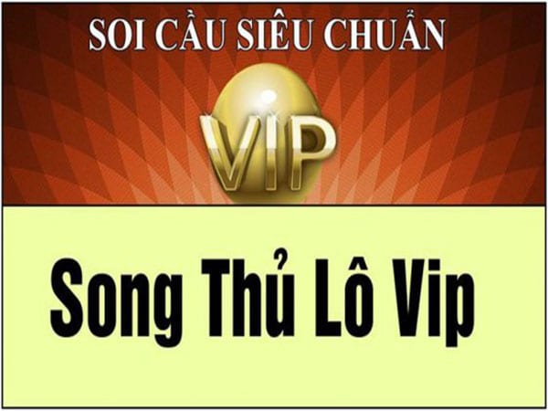 Song thủ lô Vip